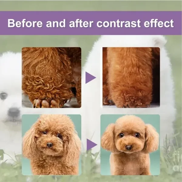 Dog Shampoos: Pet Hair Conditioner for Soft Fur and Fluffy Coat - Image 3