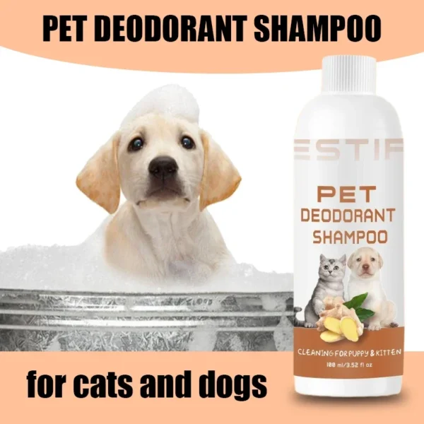 Dog Shampoos: Ginger Conditioner Fragrance