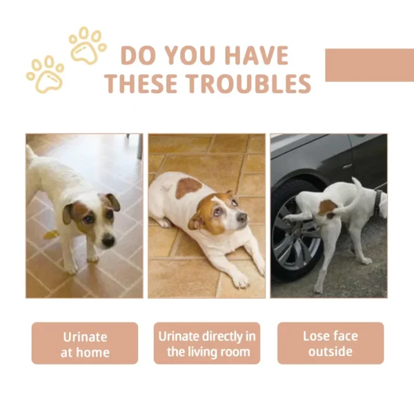 Dog Shampoos: Potty Training Spray - Image 2