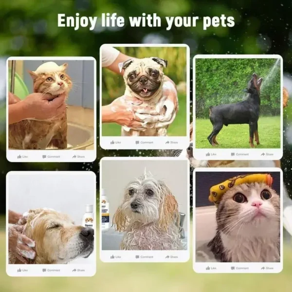 Dog Shampoos: 2-in-1 Natural Moisturizing Shampoo for Sensitive Skin - Image 3