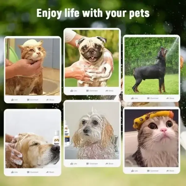 Dog Shampoos: 300ml Moisturizing PH Balanced for Sensitive Skin. - Image 3