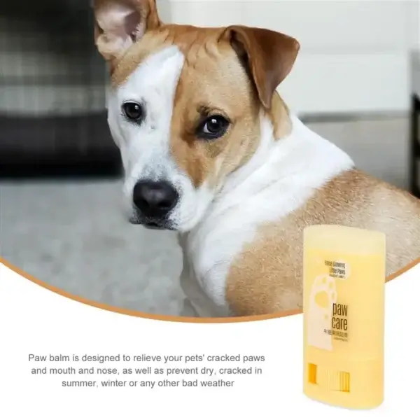 Dog Shampoos: Paw Protection Balm for Healthy Paws - Image 4