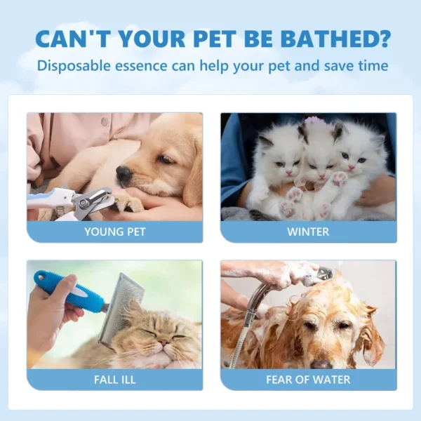 Dog Shampoos: Wash & Deodorize - Image 5