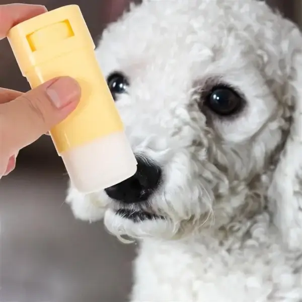 Dog Shampoos: Paw Protection Balm for Healthy Paws - Image 2