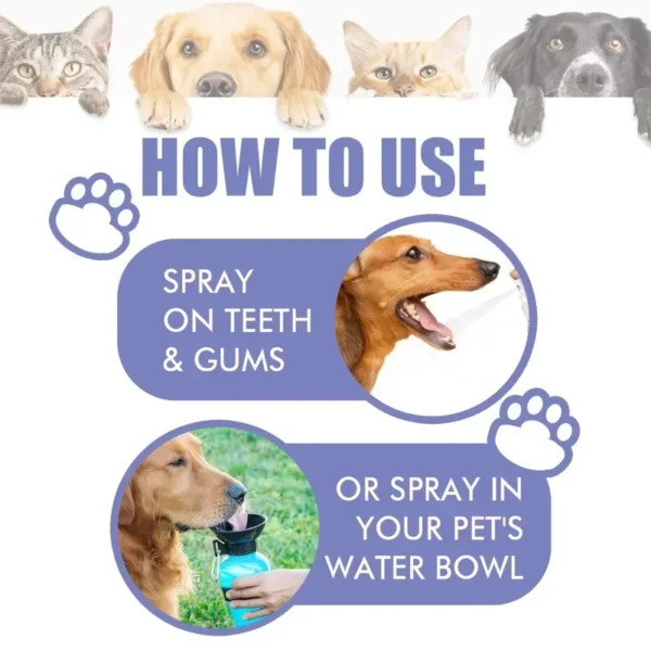 Dog Shampoos: Teeth Cleaning Spray for Fresh Breath. - Image 4