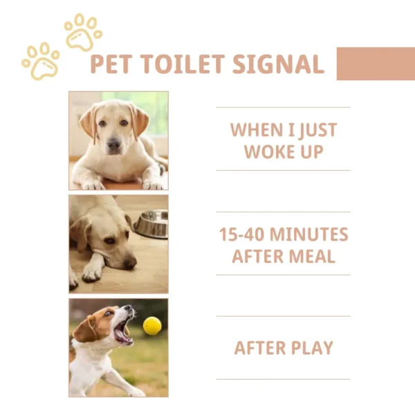 Dog Shampoos: Potty Training Spray - Image 3