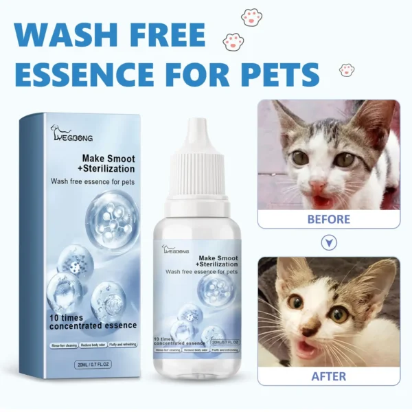 Dog Shampoos: Wash & Deodorize - Image 4