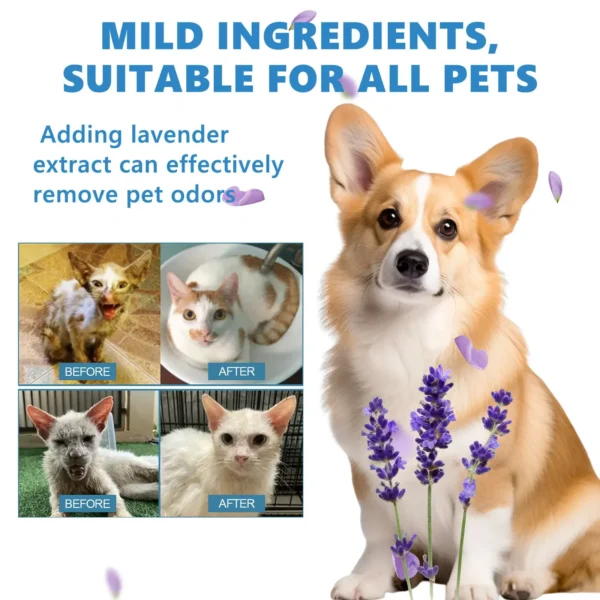 Dog Shampoos: Wash & Deodorize - Image 3