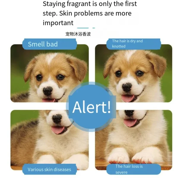 Dog Shampoos Sterilization Deodorization Mite-Free Dry Cleaning for Cats & Puppies - Image 3