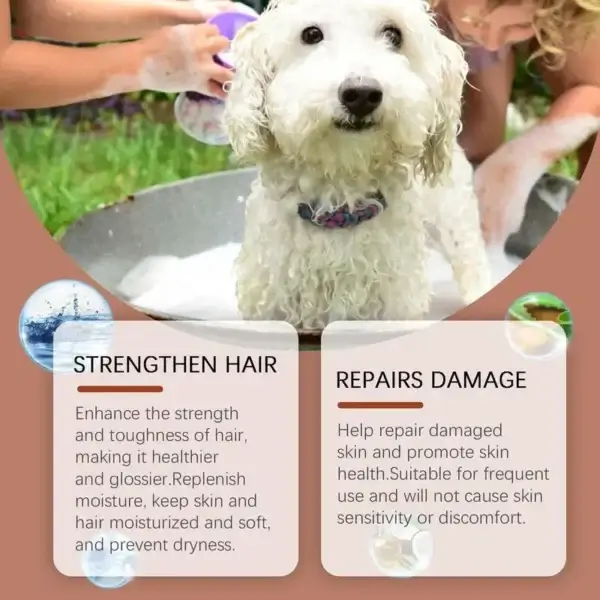Dog Shampoos: 100ml Coconut Oil Shampoo for Soft and Healthy Fur - Image 3